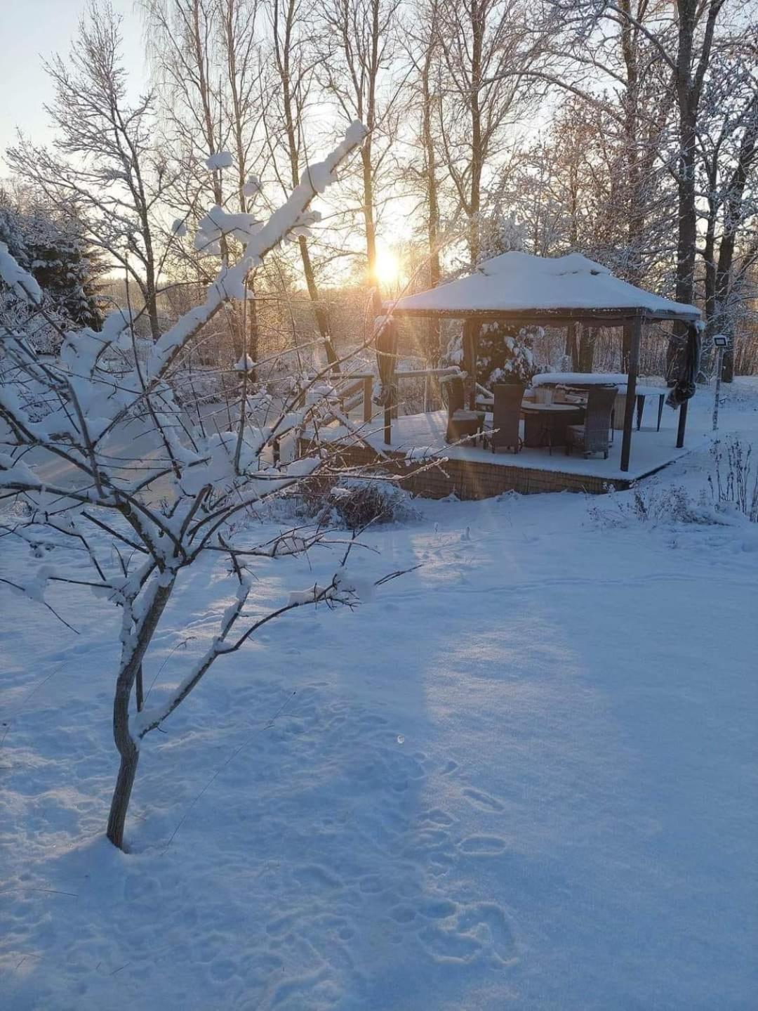 Guest House Birutes Uostas Šventoji Eksteriør bilde